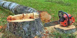 Best Utility Line Clearance  in St Michaels, MD